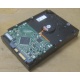Жесткий диск HP 250Gb 7200 rpm 432337-001/ 399699-001 / 397377-004 (Батайск)