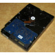 Электроника HDD 500Gb Hitachi HDS721050DLE630 (Батайск)