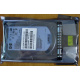 HDD 146.8Gb HP 360205-022 404708-001 404670-002 (Батайск)