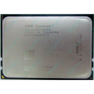 AMD Opteron 6128 OS6128WKT8EGO (Батайск)