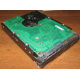 Жесткий диск 300Gb 15k Seagate Cheetach ST3300656SS 15K.6 Dell 9CH066-050 6G SAS (Батайск)